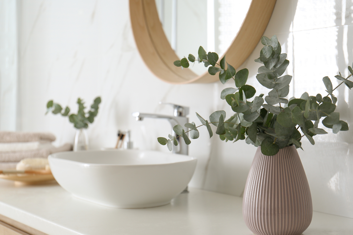 White bathroom vanity countertop and vessel sink next to two eucalyptus plants in ceramic pots White bathroom vanity countertop and vessel sink next to two eucalyptus plants in ceramic pots