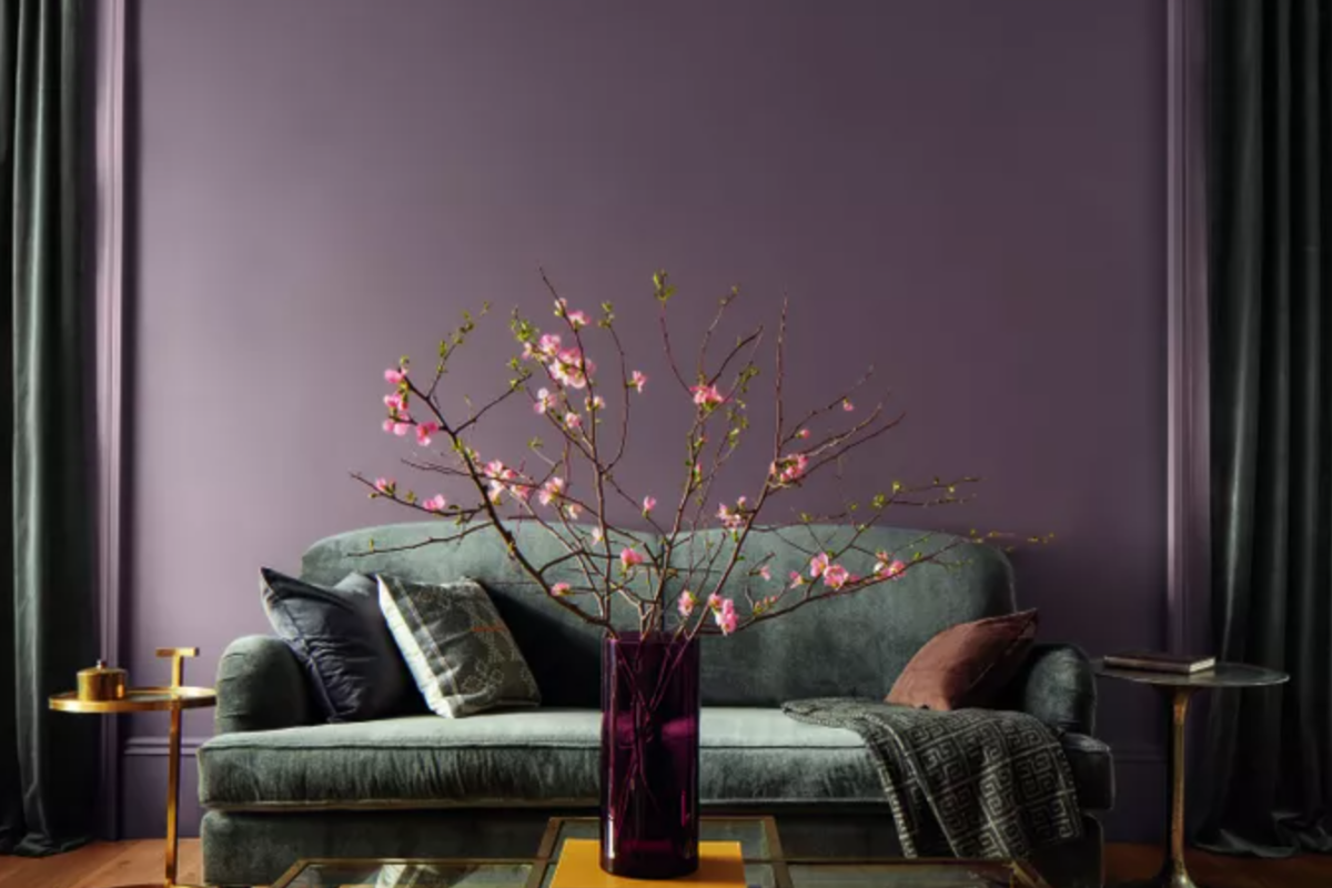 Light plum wall paint for 2025 color of the year Light plum wall paint for 2025 color of the year