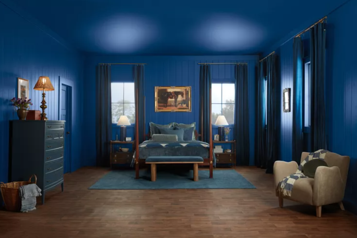 Vibrant navy blue wall paint for 2025 color of the year Vibrant navy blue wall paint for 2025 color of the year