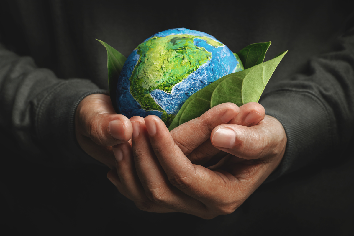 Man with black shirt on holding a paper world in his hand surrounded by tree leaves Man with black shirt on holding a paper world in his hand surrounded by tree leaves
