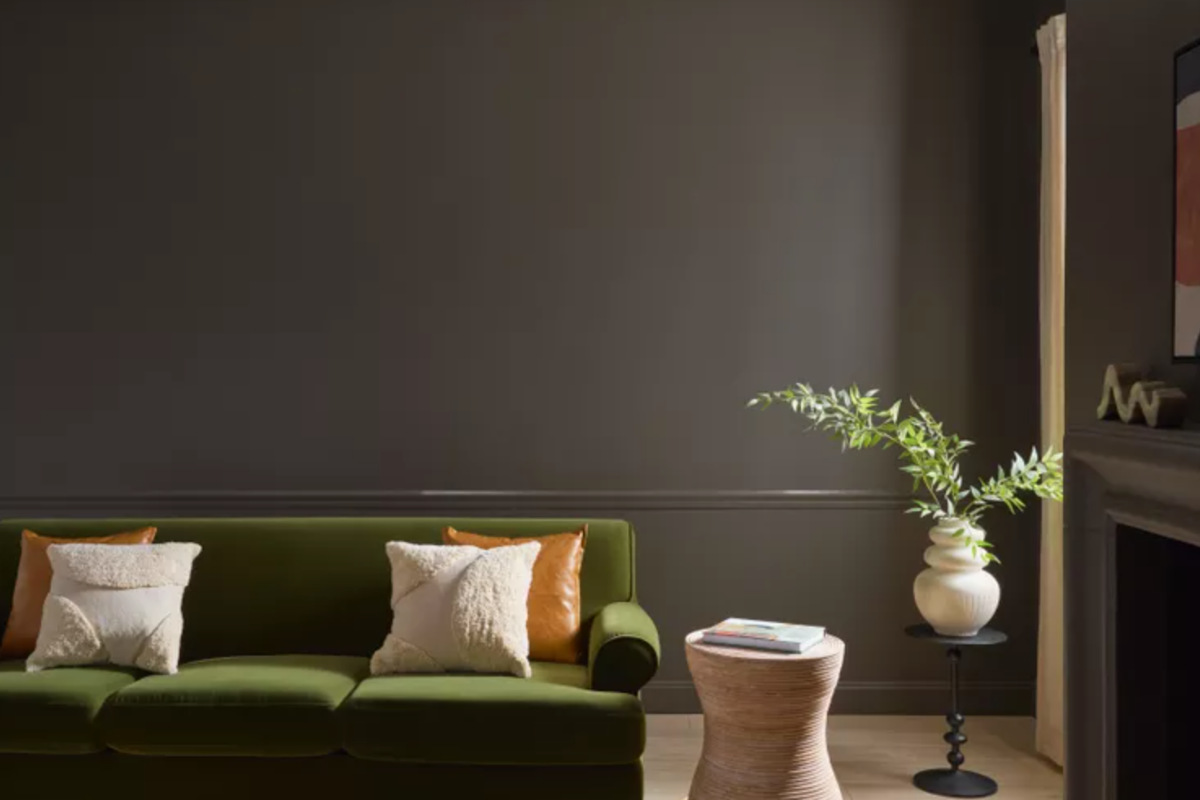 Soft chocolate brown wall paint for 2025 color of the year Soft chocolate brown wall paint for 2025 color of the year