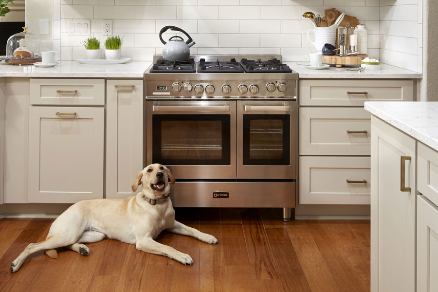Taupe painted base cabinets with gold hardware, stainless range in the center, and a dog laying on the floor Taupe painted base cabinets with gold hardware, stainless range in the center, and a dog laying on the floor